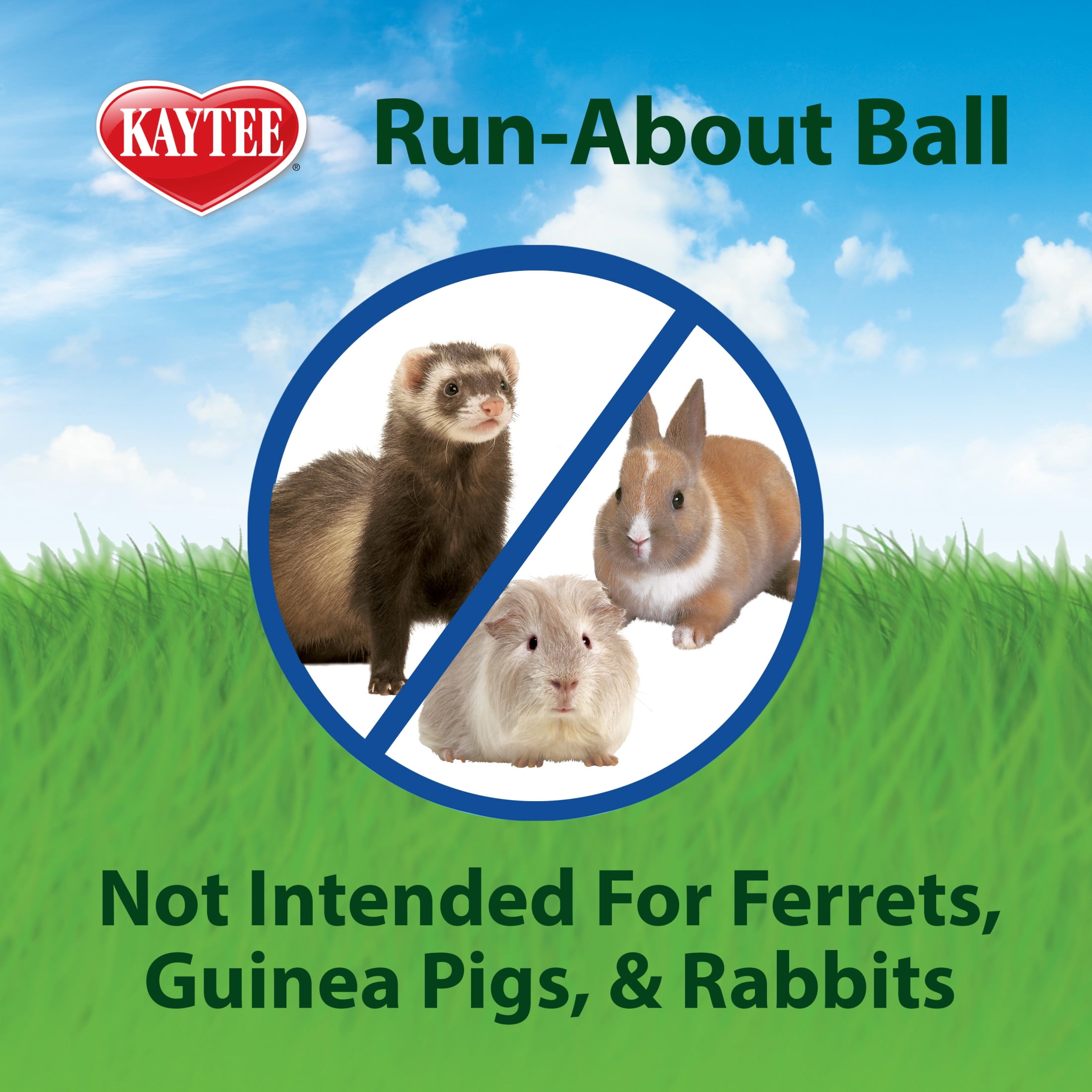 Kaytee Mega Run-About Ball for Pet Rats, Chinchillas and Other Large Small Animals, Clear 13 Inches