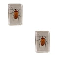 thumbnail image 4 of Bewildely Materiales respetuosos con el medio ambiente para un espécimen de escarabajo avispa araña escorpión seguro y confiable Type4 NO4, 4 of 6