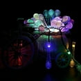 thumbnail image 5 of LINKPAL Waterproof Rain Fairy 30 LED String Light for Outdoor, Garden, Patio, Yard, Holiday Christmas Decoration, 5 of 9