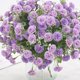 thumbnail image 5 of Kearding Ramo de claveles artificiales, decoración de flores familiares, decoración de flores de simulación, ramo de flores falsas de seda para fiesta Flores artificiales violeta PC 1 Kearding HA6616-02B, 5 of 6