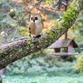 thumbnail image 4 of Simulation Owl Model Toys Home Showcase Decoration Doll Photography Props, 4 of 7