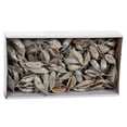 thumbnail image 4 of Vickerman 5-9" Frosted White Brachy Clusters, 1.1 lb. tray, Dried, 4 of 4