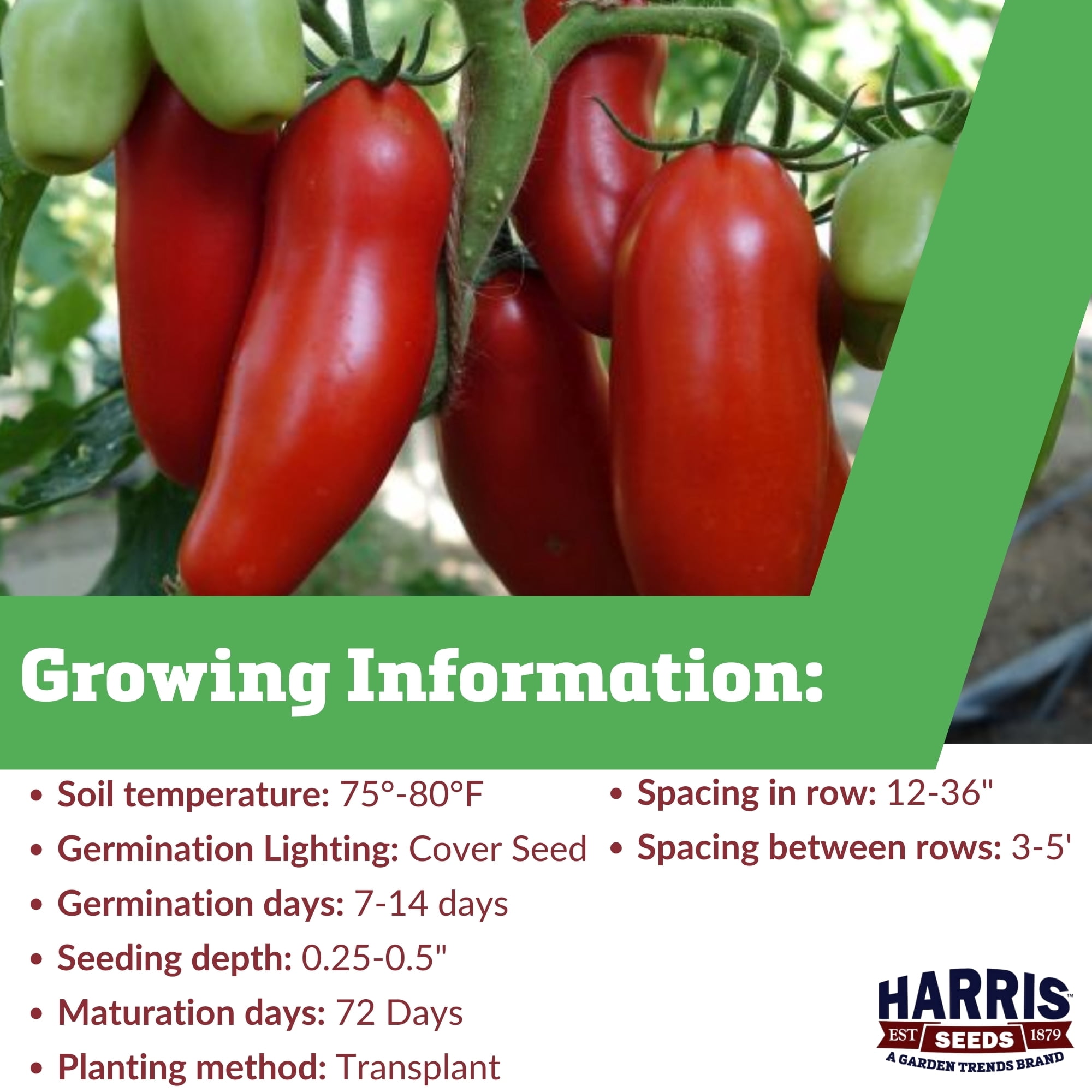 Harris Seeds - Tomato Seeds - Treated Pozzano Paste Variety - Non-GMO - Firm Fruits - 50 Seeds