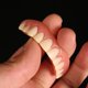 thumbnail image 3 of Instalación de chapa superior e inferior, dentaduras postizas para mujeres y hombres, dientes falsos, tono natural. ¡Arregla tu sonrisa en casa en minutos! ShuxiuWang 1327533082266, 3 of 3