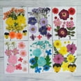 thumbnail image 4 of Hojas de flores secas y prensadas naturales para hacer adornos, manualidades y joyas con resina. Cereza, 4 of 9