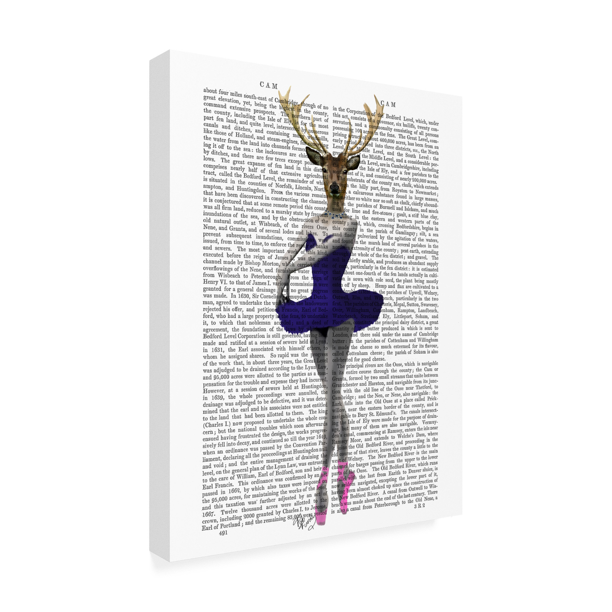 Trademark Fine Art 'Ballet Deer in Blue' Canvas Art by Fab Funky