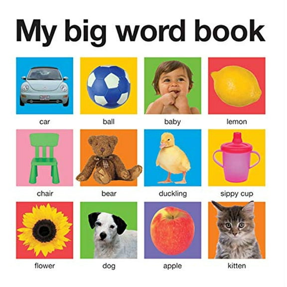 Pre-Owned My Big Word Book (My Big Board Books) Paperback
