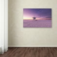 thumbnail image 3 of Trademark Fine Art 'Watching the Sunrise' Canvas Art by Philippe Sainte-Laudy, 3 of 3