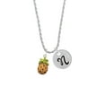 thumbnail image 2 of Delight Jewelry Enamel Pineapple Silvertone Script Initial Disc - N - Charm Necklace, 20"+3", 2 of 4