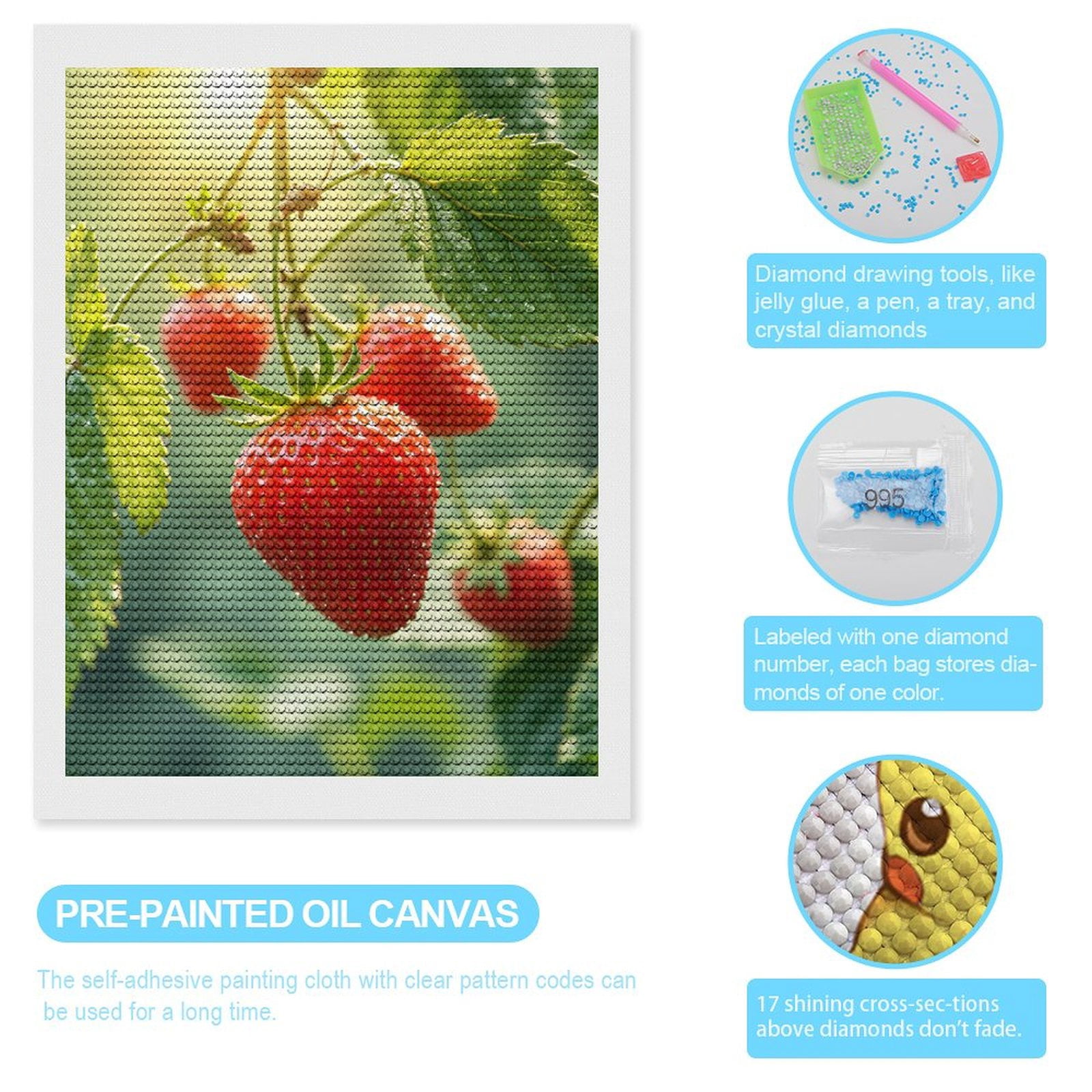 Diamond Art Kits for Adults, Strawberry Sunlit Garden Berries 5D Diamond Painting Kits for Adults Beginners, DIY Full Drill Diamond Painting, Gem Art and Crafts 12x16