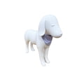 thumbnail image 2 of Collar con bandana para mascota Infanti Pets azul extragrande, 2 of 5
