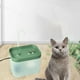 thumbnail image 4 of Fuente de agua para gatos y perros de 51 oz, dispensador automático de agua para mascotas. Verde, 4 of 8