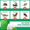 thumbnail image 6 of 12 Pack Groundhog Gopher Vole Chipmunks Repellent Outdoor, Mole Deterrent for Outdoor Garden Yard Lawn, 6 of 8