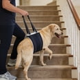 thumbnail image 5 of zhonghuaying Adjustable Dog Lift Harness Dog Sling Portable Dog Sling for Back Legs Dog Lift Harness for Large Dogs Soft Lift Support and Rehab Harness for Senior,Injured,Disabled Dogs After (L), 5 of 6