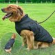 thumbnail image 3 of Chaqueta impermeable cálida con arnés para perro, ropa de algodón cómoda de invierno, chaleco acolchado, 3 of 5