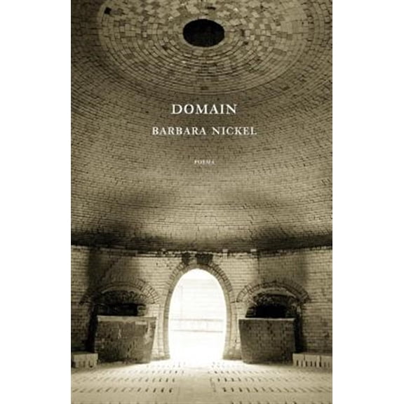 Pre-Owned Domain (Paperback)