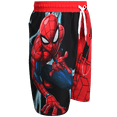 thumbnail image 3 of Marvel Spiderman Boys’ Swim Trunks – Spider-Man Swimsuit – UPF 50+ Quick Dry (2T-12), 3 of 3