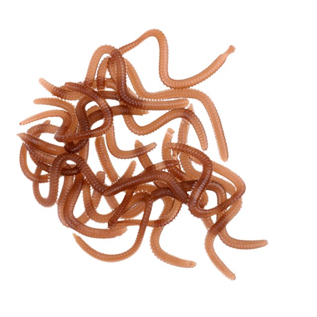 20 Pcs / Box Strong Fishy Fishing Worm Soft Clam Worms Bass Fishing