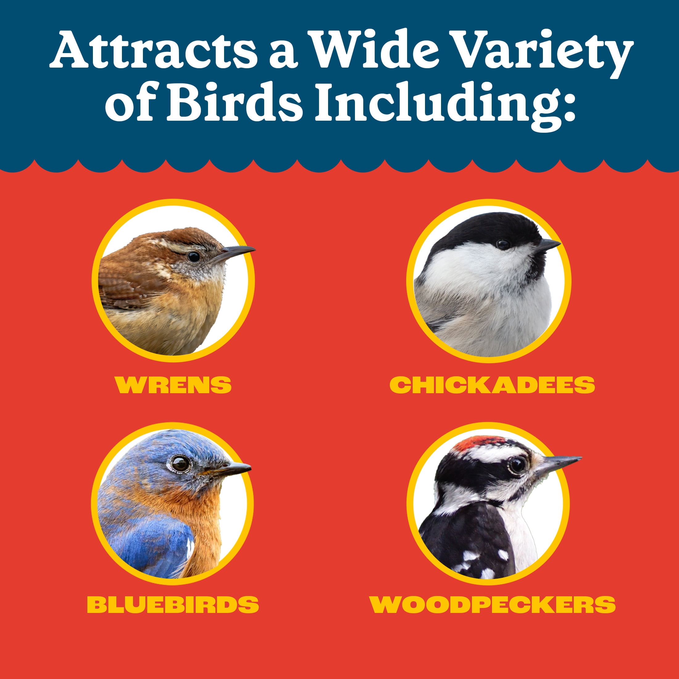 Pennington Recipe Selects Dried Mealworms for Birds, Bluebird and Wild Bird Food for Outside Feeder, 2 lb. Bag, 1 Pack
