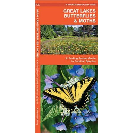 Pocket Naturalist Guides Great Lakes Butterflies Amp Moths