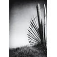 thumbnail image 2 of Flour, Bruno 13x18 White Modern Wood Framed Museum Art Print Titled - No (Of)Fence In The Dunes, 2 of 4