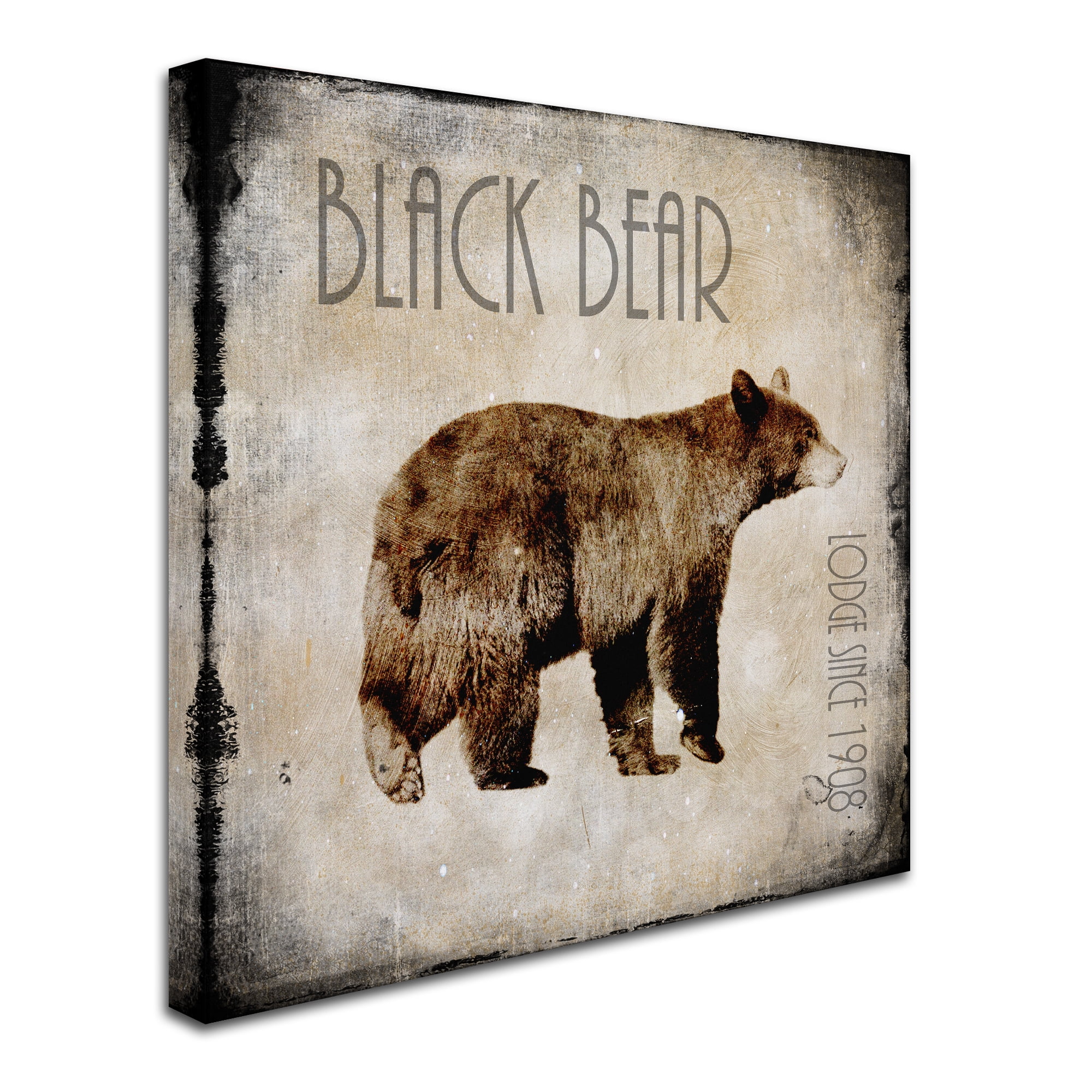 Trademark Fine Art 'Moose Lodge 2 - Black Bear' Canvas Art by LightBoxJournal