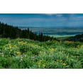 thumbnail image 2 of Garber, Howie 32x23 Black Ornate Wood Framed with Double Matting Museum Art Print Titled - USA-Wyoming-Wildflowers and view of Teton Valley-Idaho-summer-Caribou-Targhee National Forest, 2 of 4