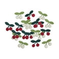 thumbnail image 3 of Parches bordados Gloria 20 piezas de cereza para chaqueta manualidades coser en apliques decorativos DIY, 3 of 9