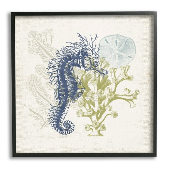 Stupell Industries Intricate Seahorse Overlay Sand Dollar Coral Botanicals Graphic Art Black Framed Art Print Wall Art, Design by Victoria Barnes