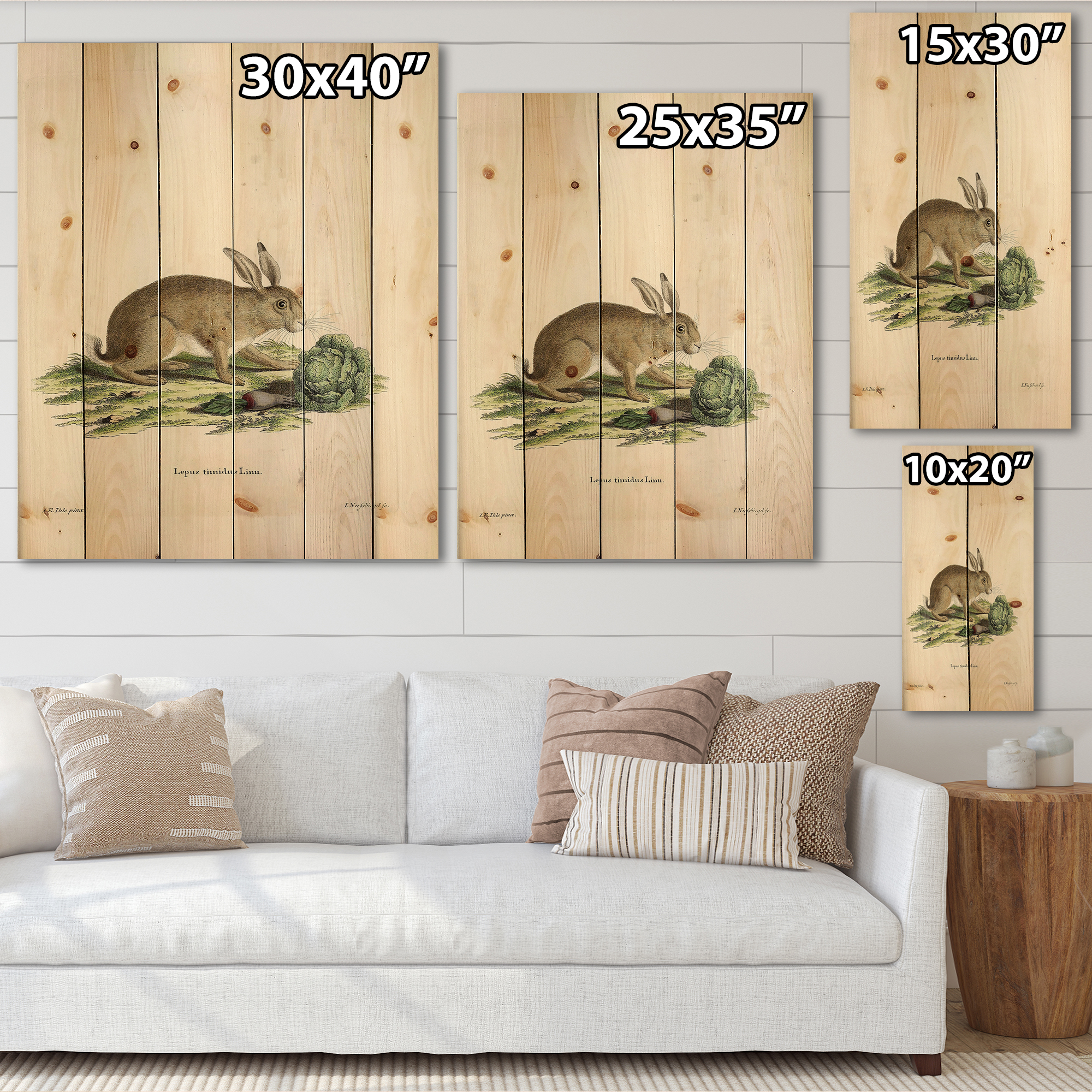 Designart 'Ancient Rabbits In Earth Tones' Farmhouse Print on Natural Pine Wood