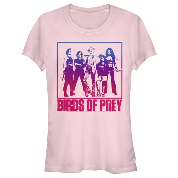 Junior's Birds of Prey Harley's Team Frame  Graphic Tee Light Pink 2X Large