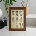 thumbnail image 5 of Encyclopediae III -Framed Print w/glass-Chestnut, 5 of 8