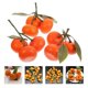 thumbnail image 4 of 3pcs Kitchen Table Fake Orange Realistic Orange Artificial Fruit Faux Fruit Decor, 4 of 4