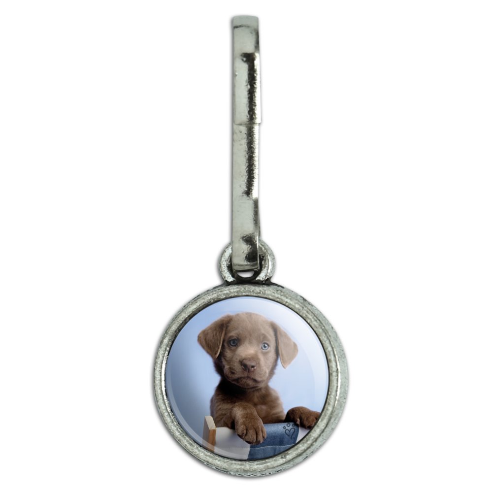 chocolate lab charm