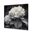 thumbnail image 2 of Designart "A Grey and White Hydrangea Blossom II" Floral Metal Wall Decor, 2 of 5