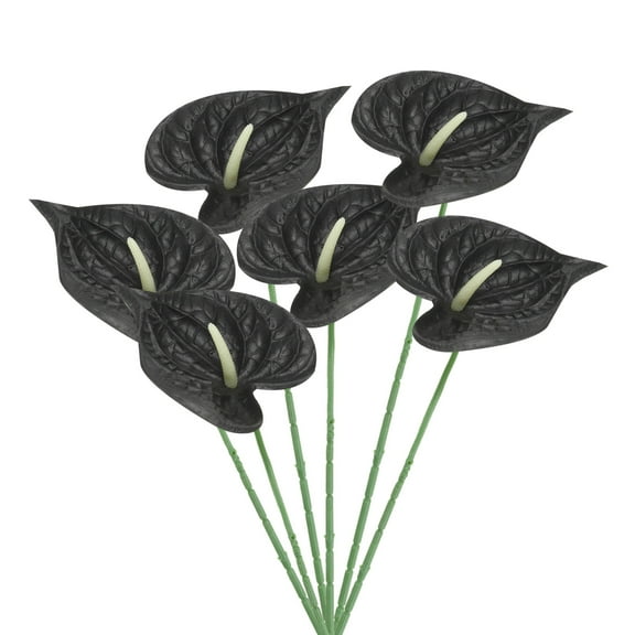 Uxcell 13" Artificial Anthurium Lily Flowers Floral Arrangements Bouquet Decor, Black 6 Pack
