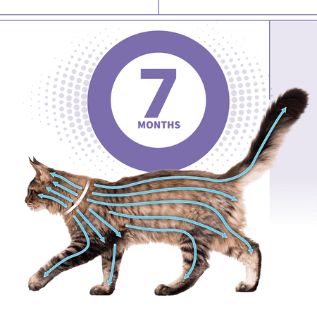 Hartz UltraGuard Plus Reflective Flea & Tick Collar for Cats and Kittens, 7 Months Protection