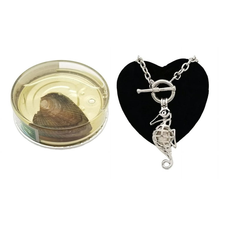 Love Pearl Seahorse Bracelet Charm with 7