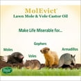 thumbnail image 5 of Baar Lawn Mole Castor Oil, MolEvict, Helps Rid Lawns & Gardens of Pesky Moles & Voles – 32 Ounces, 5 of 7