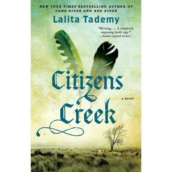 Citizens Creek : A Novel (Paperback)