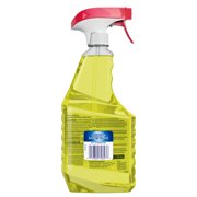 Windex Multi-Surface, Disinfectant, and All-Purpose Cleaner, Spray Bottle, Citrus Scent, 32 fl oz