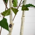 thumbnail image 4 of Nearly Natural 7ft. Artificial Birch Tree with Real Touch Leaves, 4 of 7