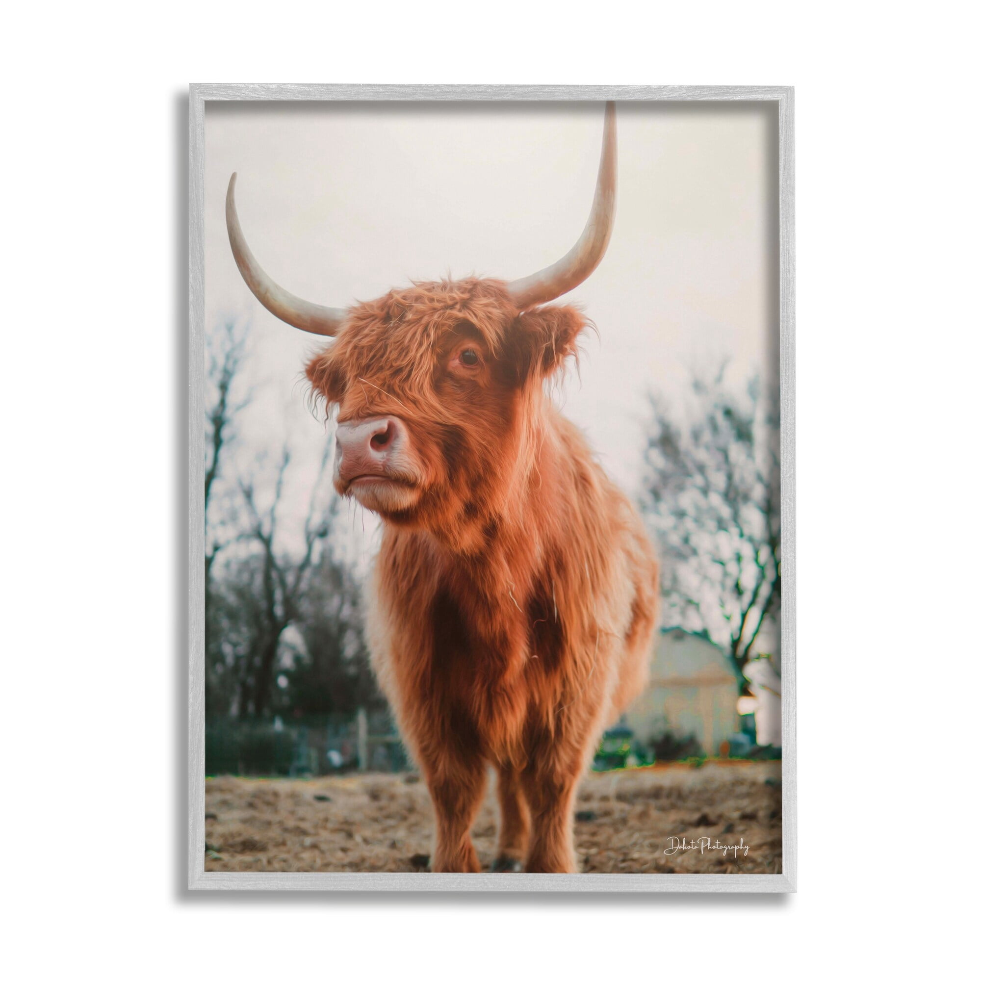 Stupell Industries Highland Cattle Cow Grazing Rural Farmland Sunlight Photograph Gray Framed Art Print Wall Art, Design by Dakota Diener