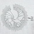 thumbnail image 3 of CafePress - You Are Here #1 Light T Shirt - Men's Classic Graphic T-Shirt, 3 of 4