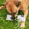 thumbnail image 4 of Kikkerland Dog Fake News, 4 of 5