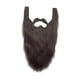 thumbnail image 1 of Disfraz de , disfraz de Halloween, pelo facial para  Gris Yuyangstore  Barba larga, 1 of 8