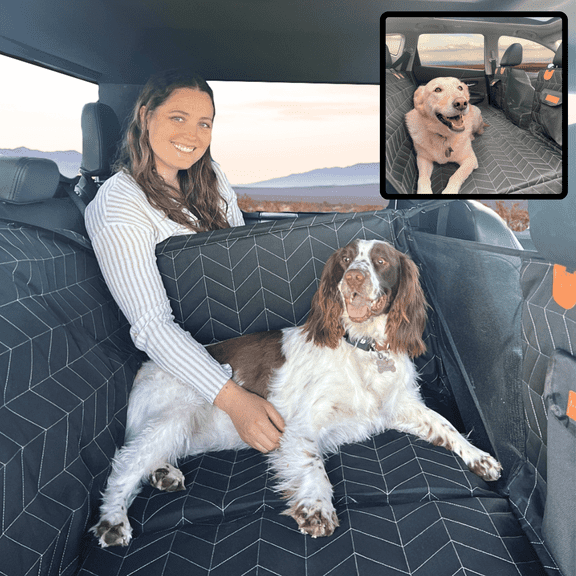 CONVERTIBLE Backseat Extender for Dogs
