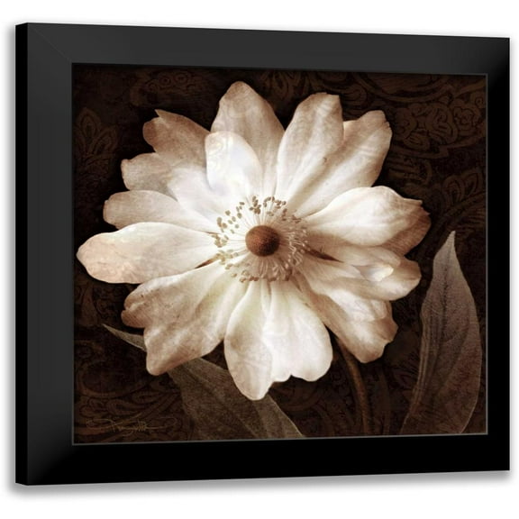 Mallett, Keith 12x12 Black Modern Framed Museum Art Print Titled - Paisley Blossom II