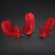 thumbnail image 3 of 100 plumas de ganso auténticas Zhivalor para manualidades decoración de bodas fiestas en casa rojo, 3 of 7