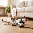 thumbnail image 4 of (3 pack) Vibrant Life Adjustable Cat Harness and Leash Set, Black, One Size, 4 of 10